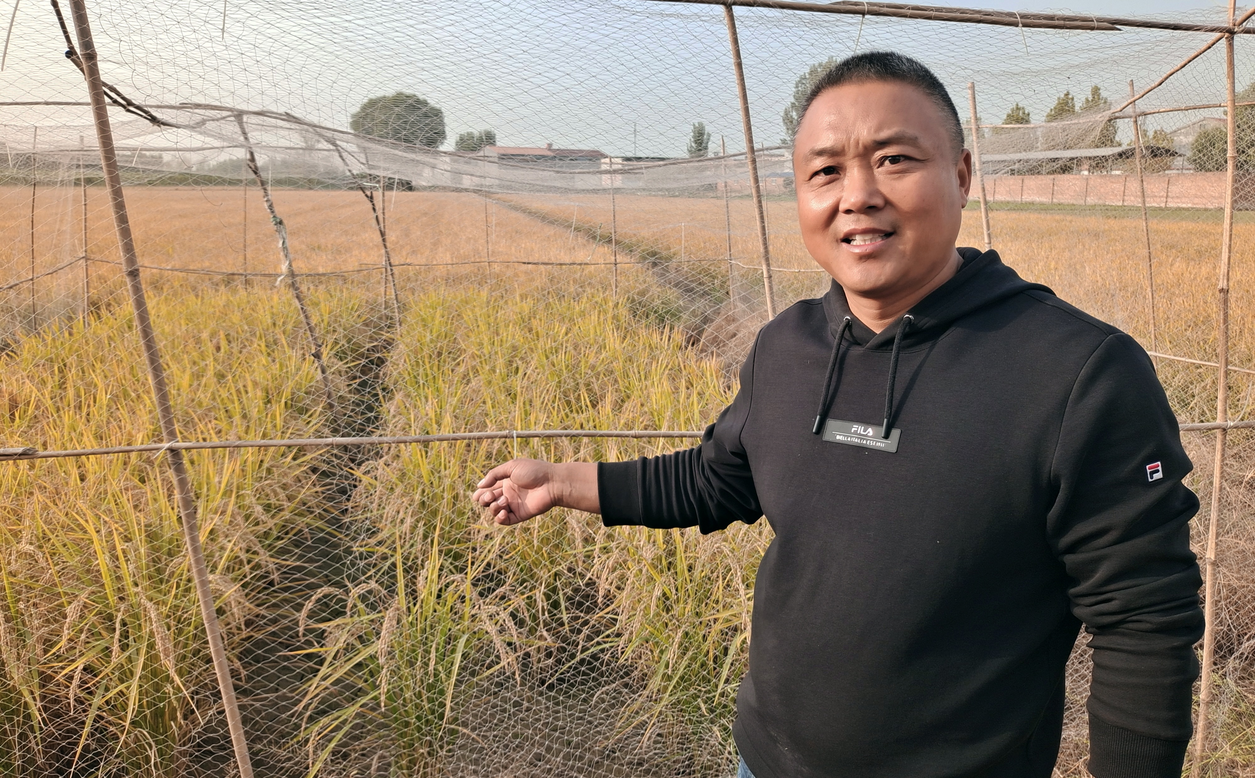 稻米|“稻”路越走越宽 新乡平原示范区第三届稻米文化节开幕