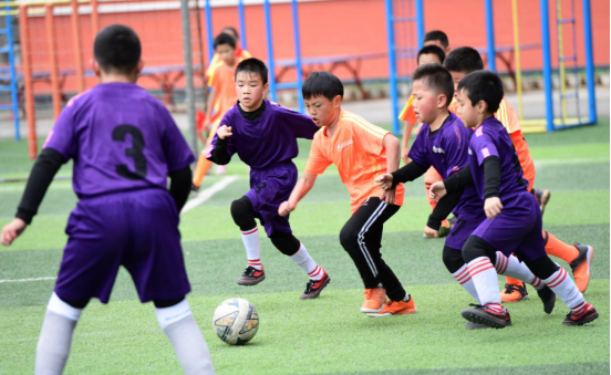 加快体教融合 罗平县推进青少年校园足球运动