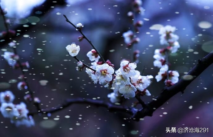 冯延巳一首鹊踏枝，幽微深婉，句句优美哀伤-第5张图片-非凡网