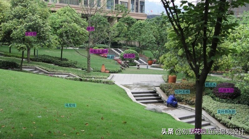 別墅庭院常用植物分享，附照片及名字標(biāo)注（珍藏版）