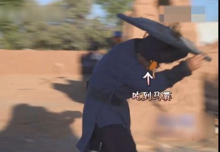 综艺节目有多危险：杨颖手指骨折，宋小宝反复