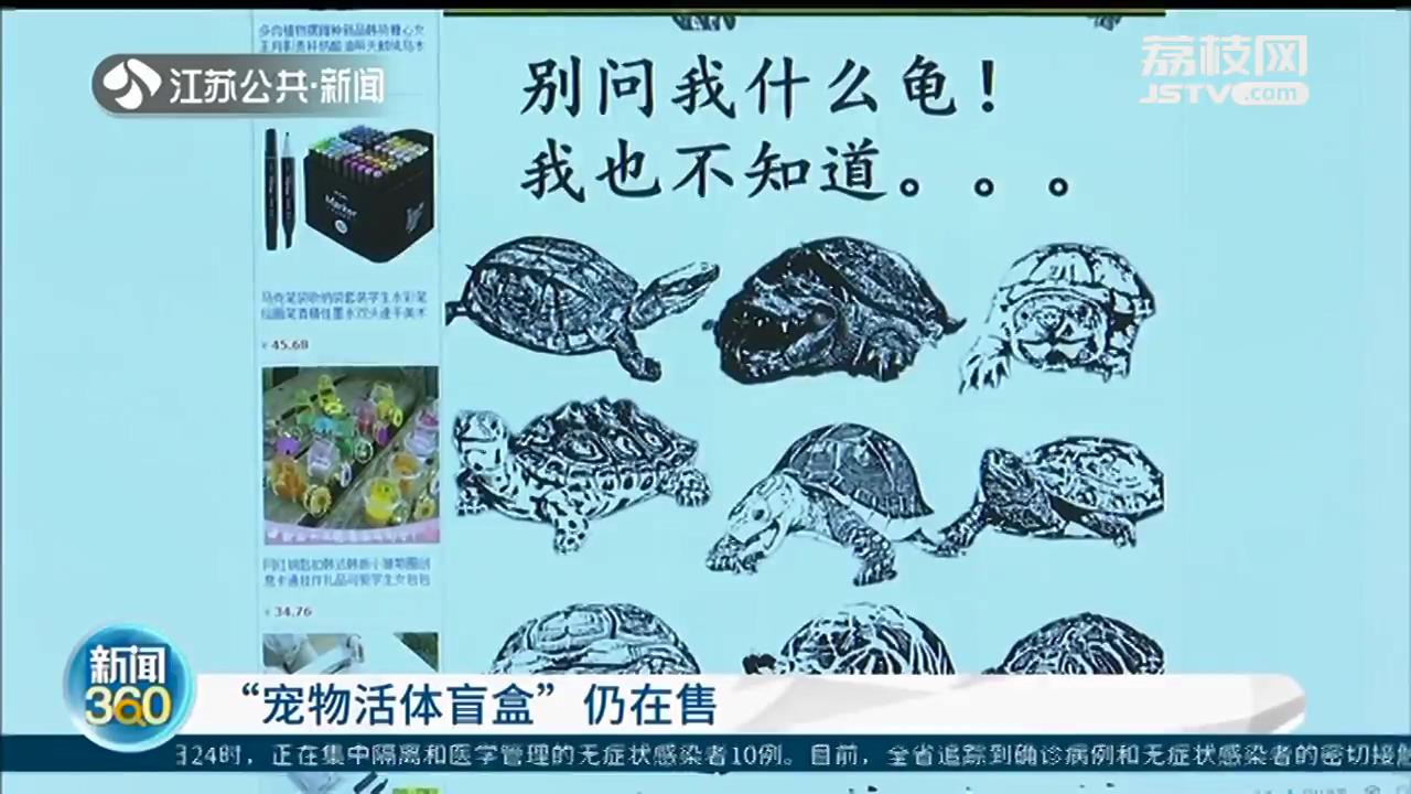 侵略物种巴西龟装进&ldquo;宠物活体盲盒&rdquo;，这种&ldquo;带血的生意&rdquo;该管管了