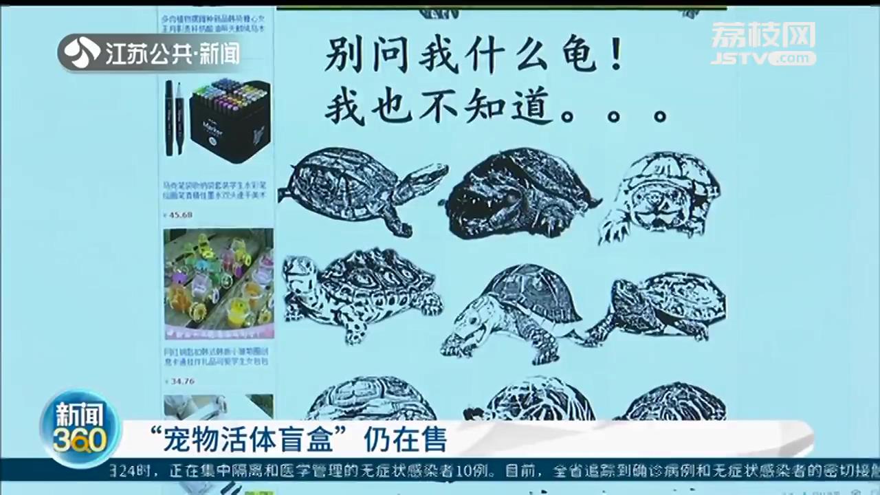 侵略物种巴西龟装进“宠物活体盲盒”，这种“带血的生意”该管管了