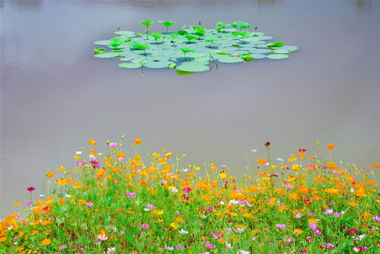 冬天旅行首选目的地，三亚吃喝玩乐全攻略，给你最悠闲的海岛时光