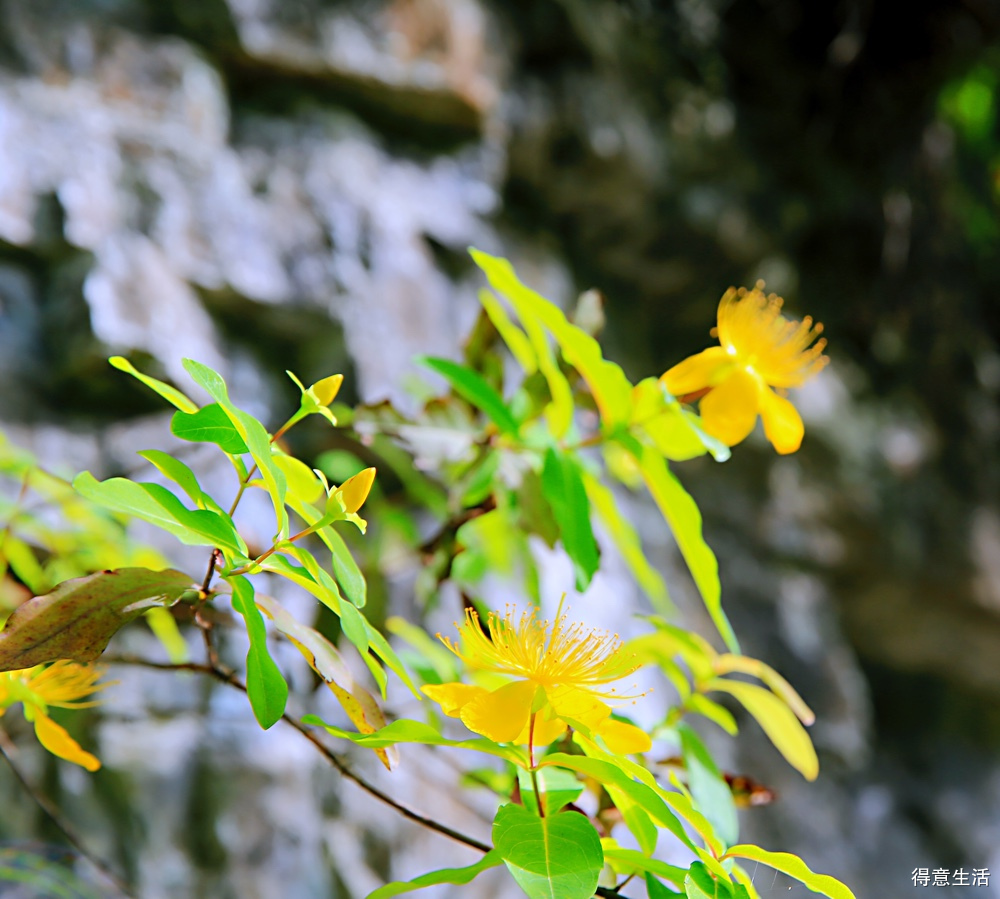 用了一个周末加两天休息时间，自驾去了一趟鄂