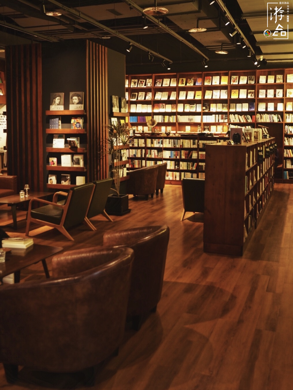 不被人理解的刀锋书酒馆：老板辞去高薪外企工作，独自经营小书店