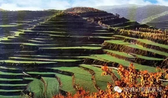 【庄浪县】初秋时节来庄浪，看百万亩梯田绝美风光！