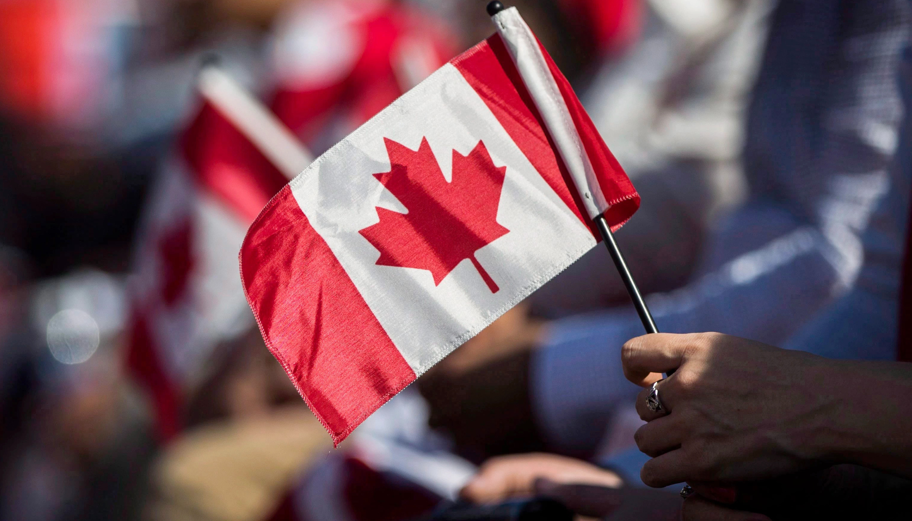 加拿大移民部推出网上入籍申请服务凤凰网北美_凤凰网