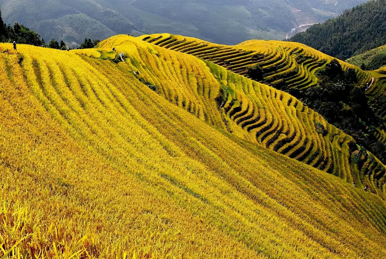 中秋小长假就在眼前，最适合秋天旅游目的地有哪些？