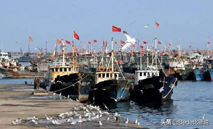 鲁荣渔2682号渔船惨案：33人出海仅11人归来，现实版“大逃杀”？