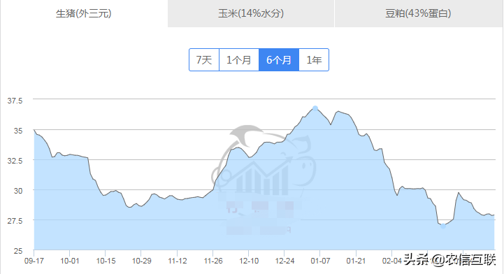 猪价暴跌23%，猪肉大跌8元，为何很多网友却说没怎么降？