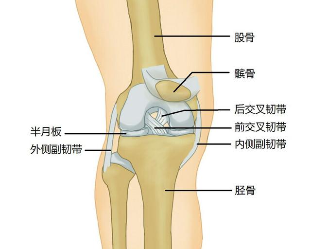 膝关节一动“咔咔响”，中医张建福表示，要多警惕这六种情况