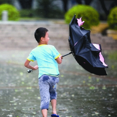 国产新型雨伞终于问世，专为恶劣天气而生，颠覆三千年前鲁班设计