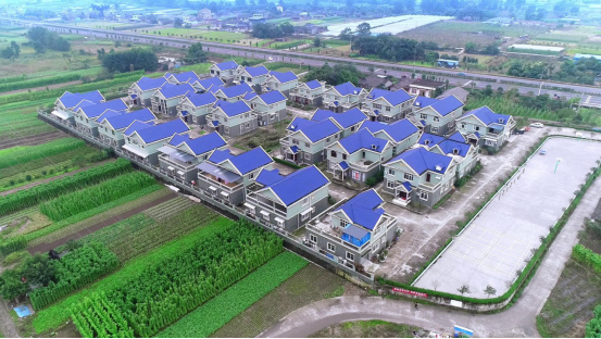 四川省夹江县：“强基+引领”开启乡村振兴新篇章
