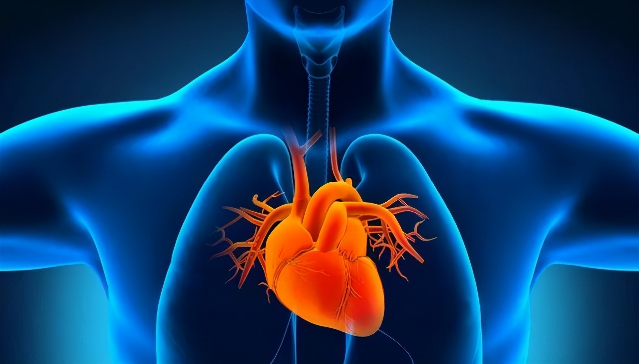 肝血足-命好；心血足-運好！ 養生還得養心肝心肝好百病除生