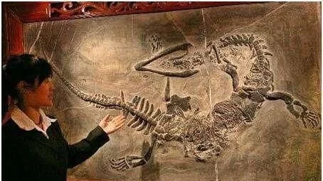 长江考古发现“巨龙”，长7米距今6000年，专家：