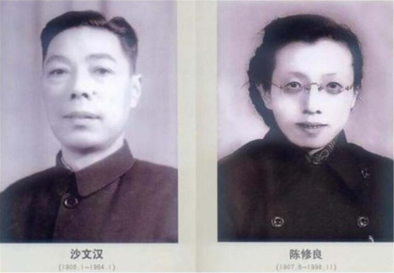 陈修良：潜伏南京从未暴露，策反国军轰炸总统