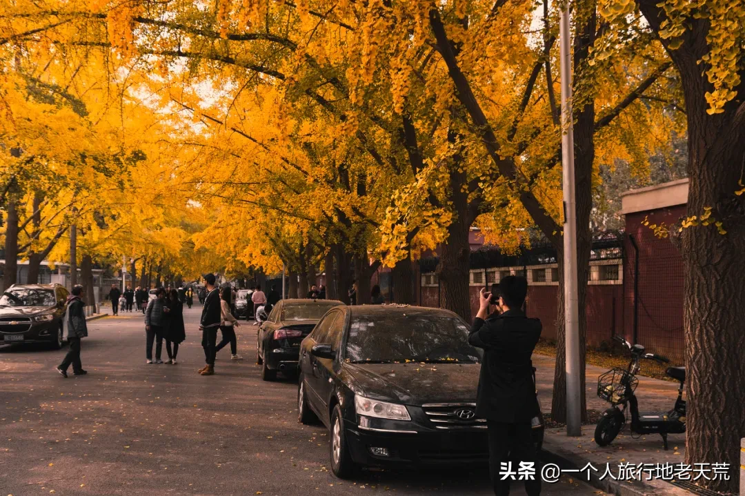 一入秋，最地道老北京突然刷爆朋友圈