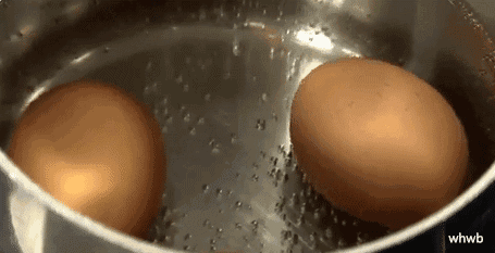 图片[4]-【煮鸡蛋】做法步骤图 鸡蛋软嫩鲜香 好剥壳-起舞食谱网