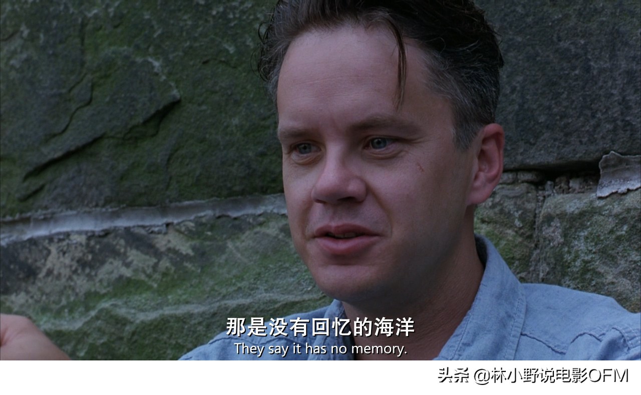 This old oak tree was struck by lightning! "Shawshank's Redemption