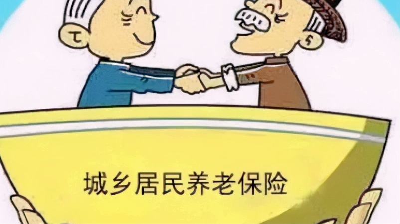 一次性补缴十五年九万养老保险费政府会补助多少钱？