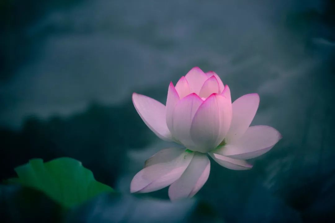 8首美好诗词：愿世间所有的美好，都是恰逢其时-第6张图片-非凡网