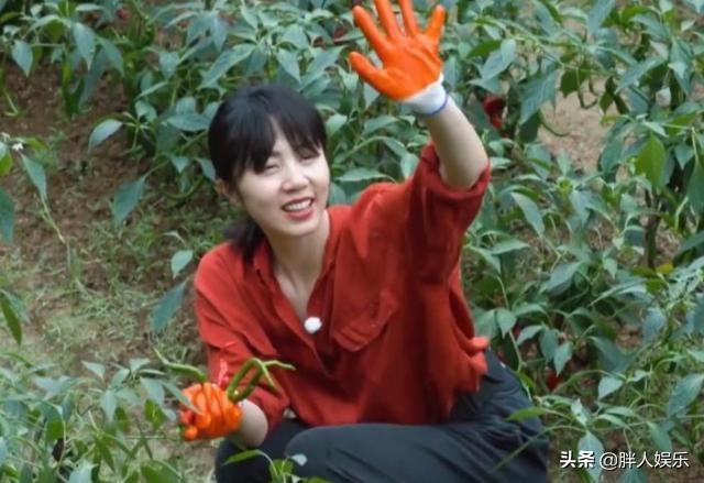 被网友吐槽“玻璃心”的孙莉，凭什么让黄磊独