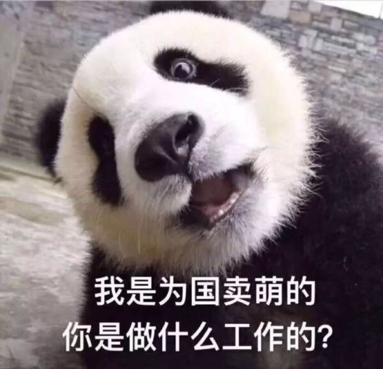 租借大熊猫每年每只100万美元，租期10年，最后，