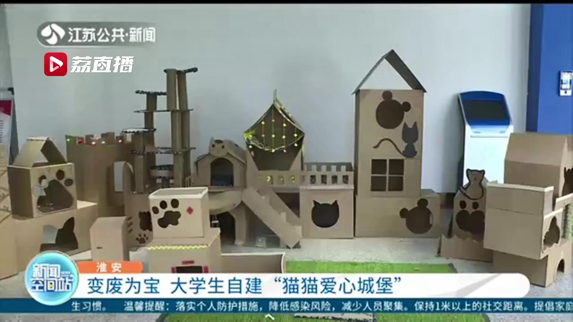 变废为宝！大学生自建“猫猫爱心城堡”让流浪猫住上温暖的“家”