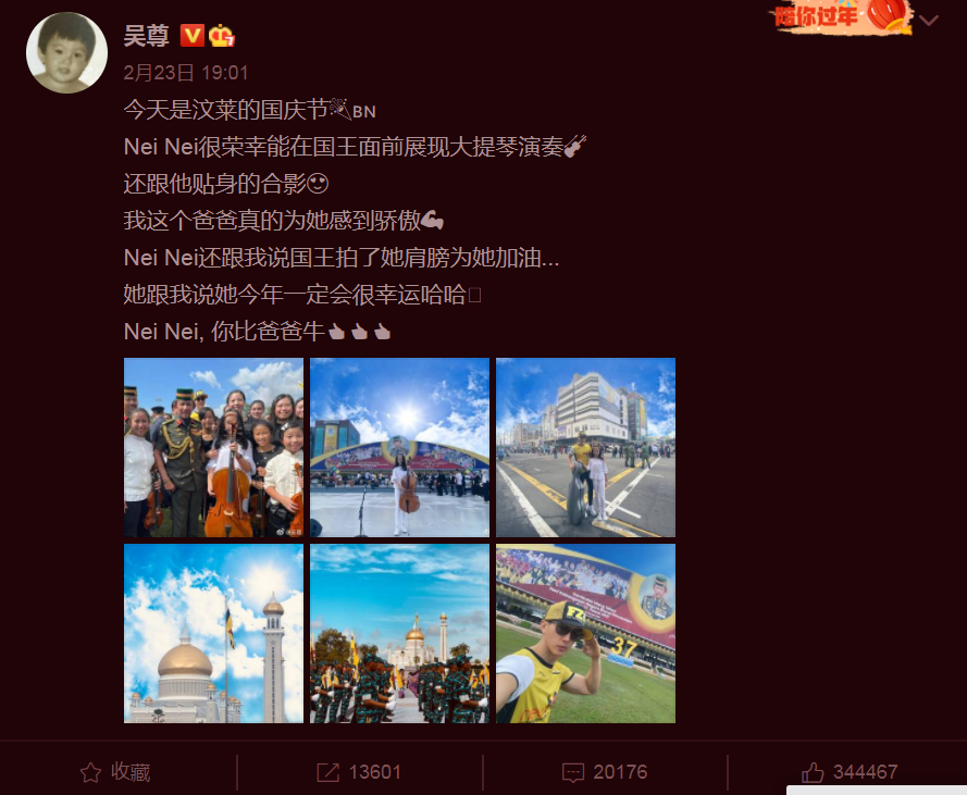 吴尊的女儿多优秀？年仅十岁就为文莱国王登台