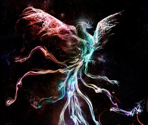 丹穴之山，有鸟焉，世界上最终一只凤凰未解的谜团