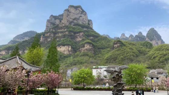 太原金紅花丨相約蟒河 感恩之旅
