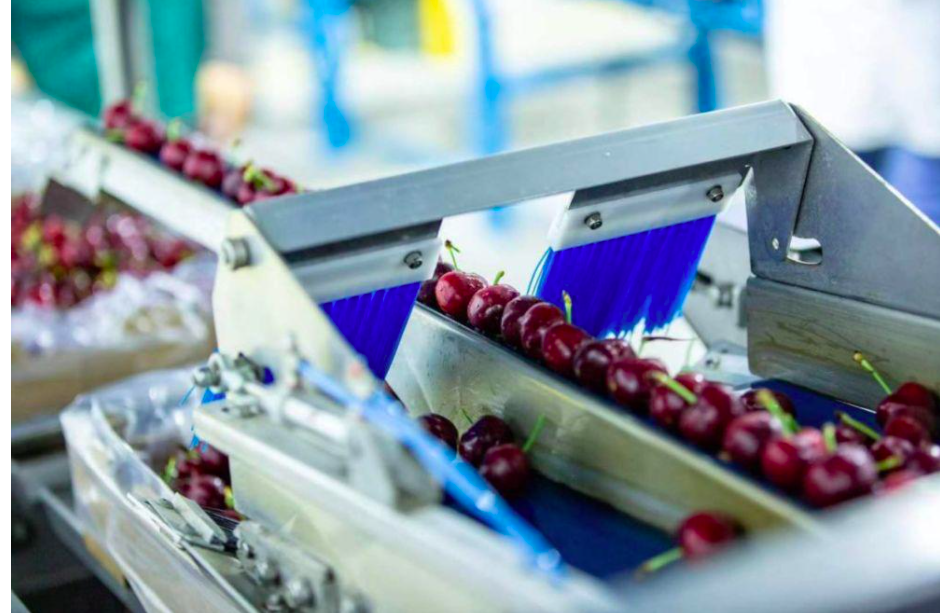 Car a unit of weight child it is good to compare homebred big cherry really? The entrance needs 20 days, car a unit of weight child add antiseptic? 