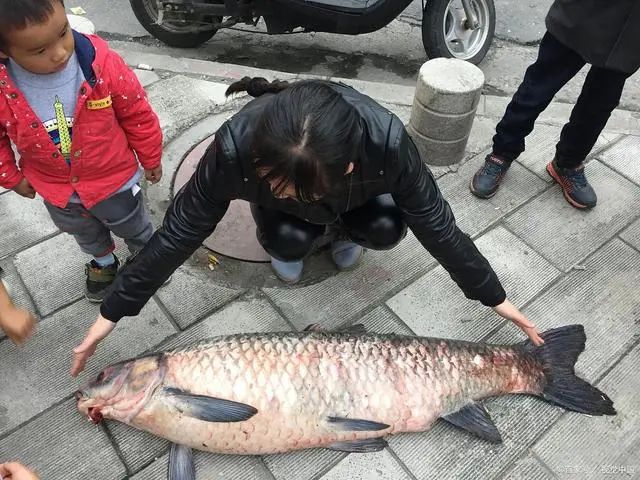 爱吃鱼的人注意了，什么鱼能吃什么鱼不能吃您知道吗？