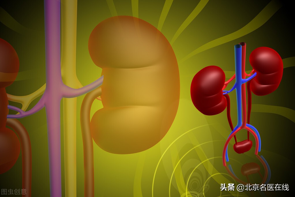 中医提醒：水蛭是降肌酐好手！可抑制肌酐升高，稳定肾功能