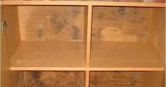 家具厂应该如何做好家具防霉工作