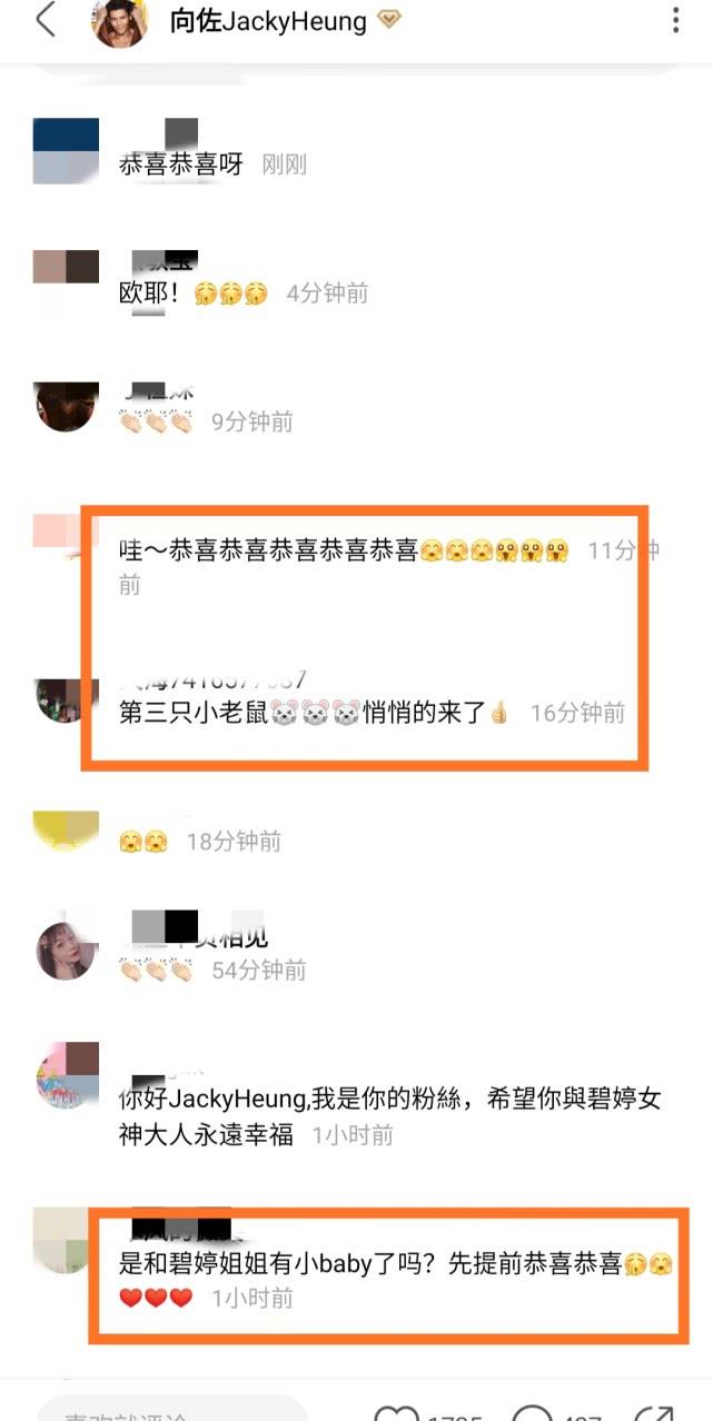 郭碧婷怀孕了？向佐欢迎新成员到来后，郭碧婷爸爸上线发声心情好