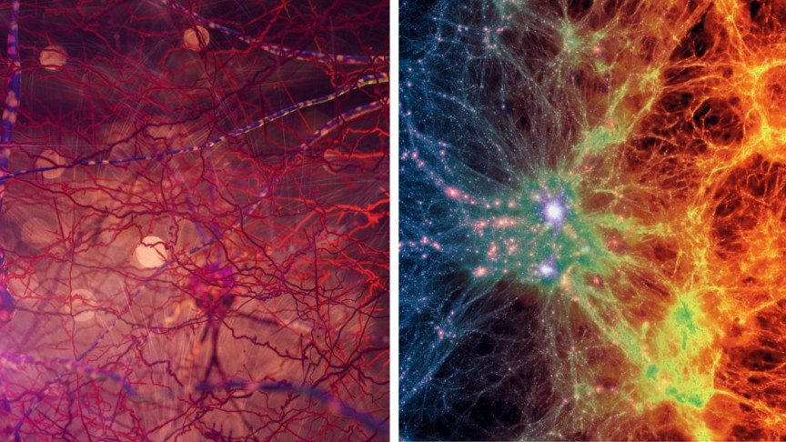 科学家发布惊人理论，宇宙或是一个巨大的神经网络