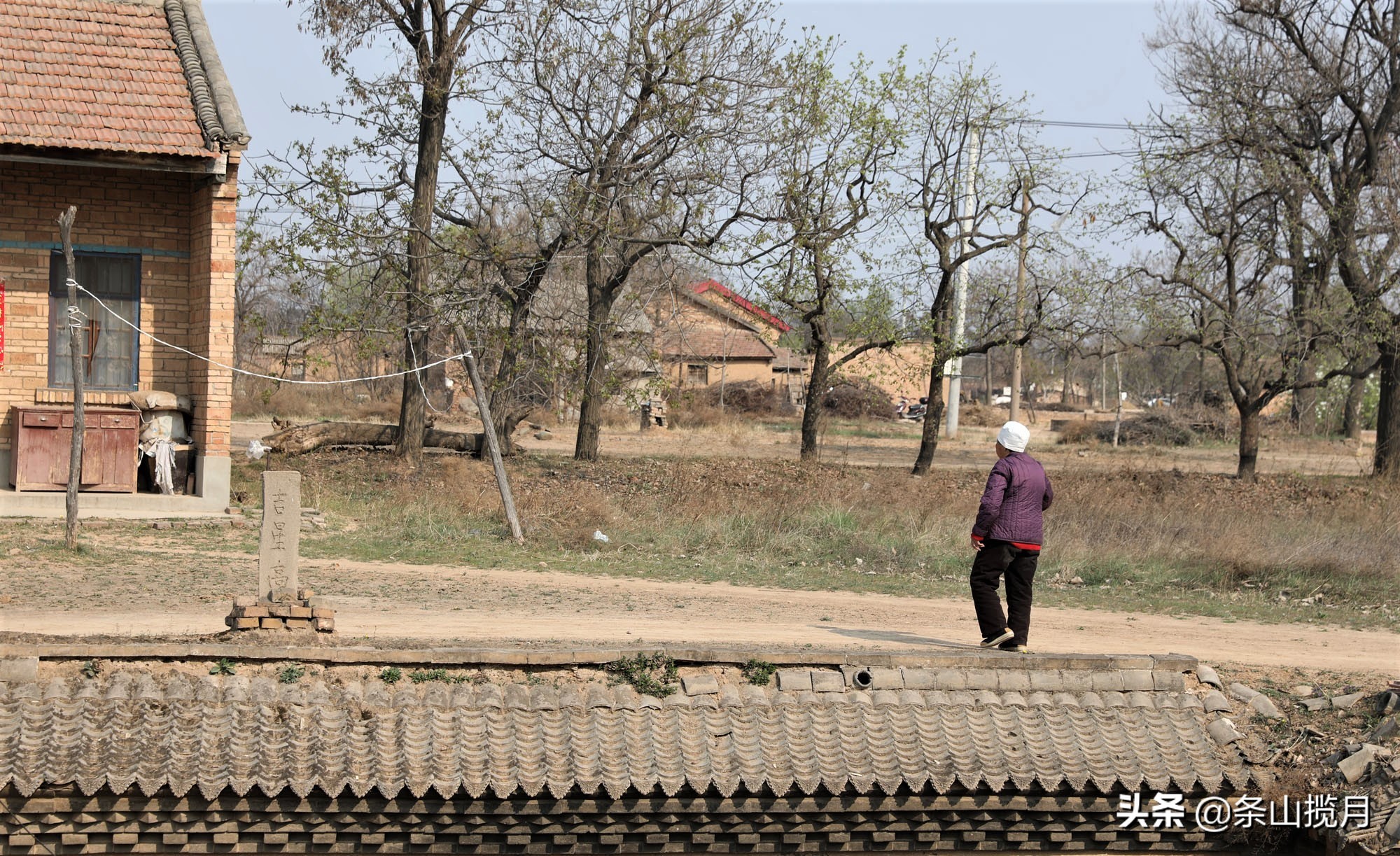 这几块石头摆在8旬老奶奶的地坑院里，里边的说道有谁知道