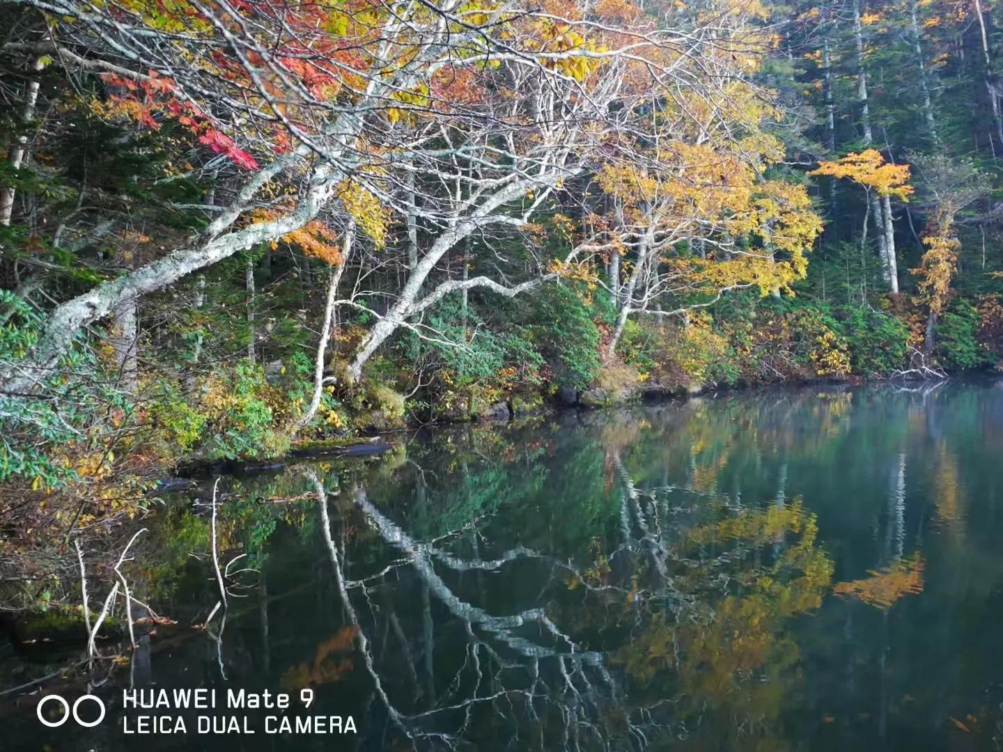 去過北海道嗎 秋天登上紅葉覆蓋的阿寒雄山 亞文在路上 Mdeditor