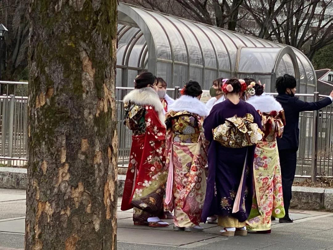 今天是日本最有儀式感，最養眼的一天