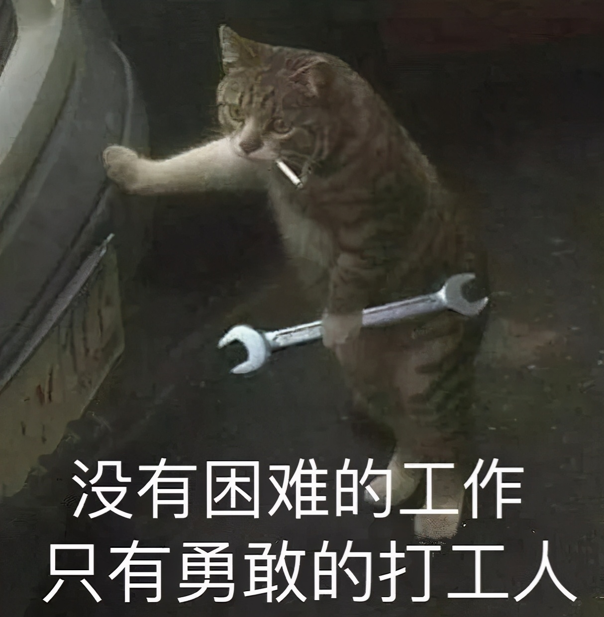 火逆最后一周！打工人爆红，火星12星座是时候给点力了