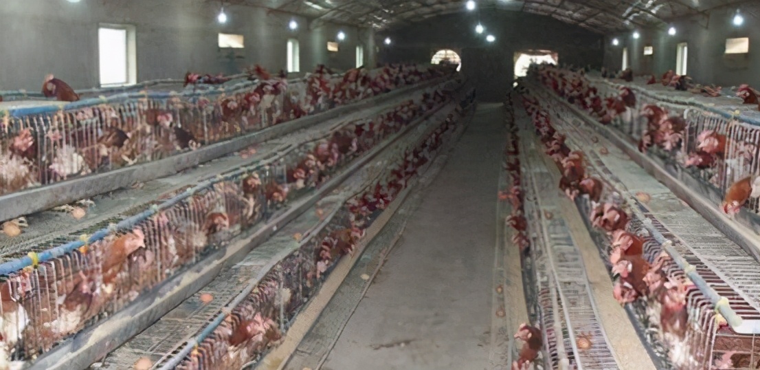 蛟河法院：审理一起合伙协议纠纷案