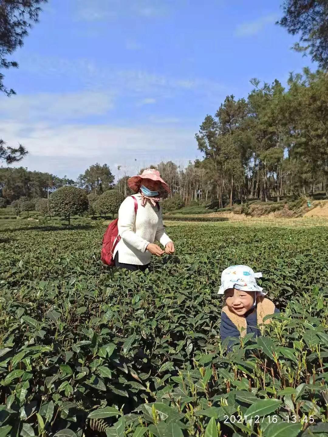 看完这20个“春节故事”，我又开始想念假期了-第18张图片-大千世界