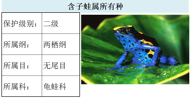 国家最新水生野生保护动物名录（共计三百余种），第2期