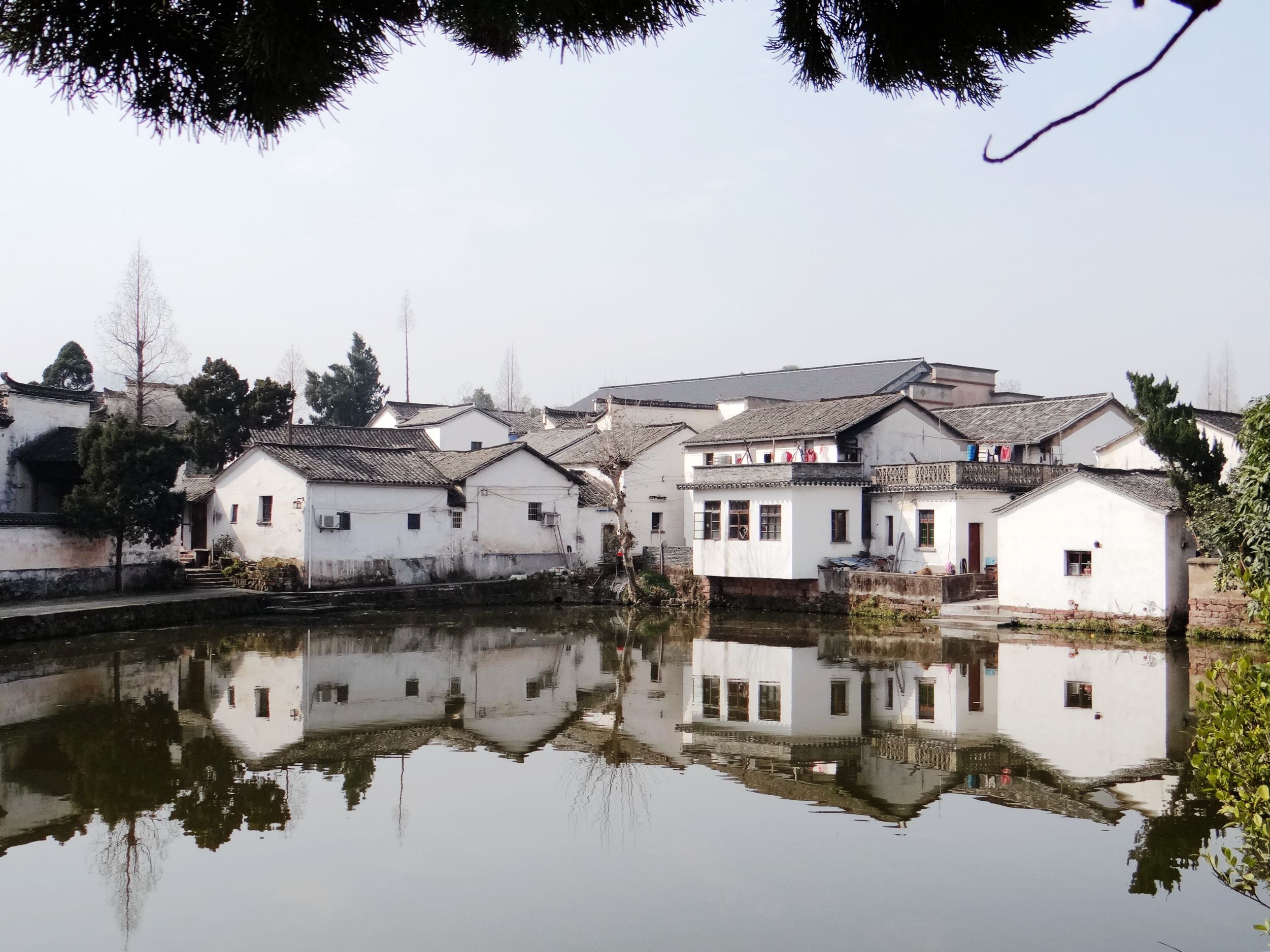 诸葛八卦村构建神奇，后世子孙多以医药为业，这是为了什么原因？