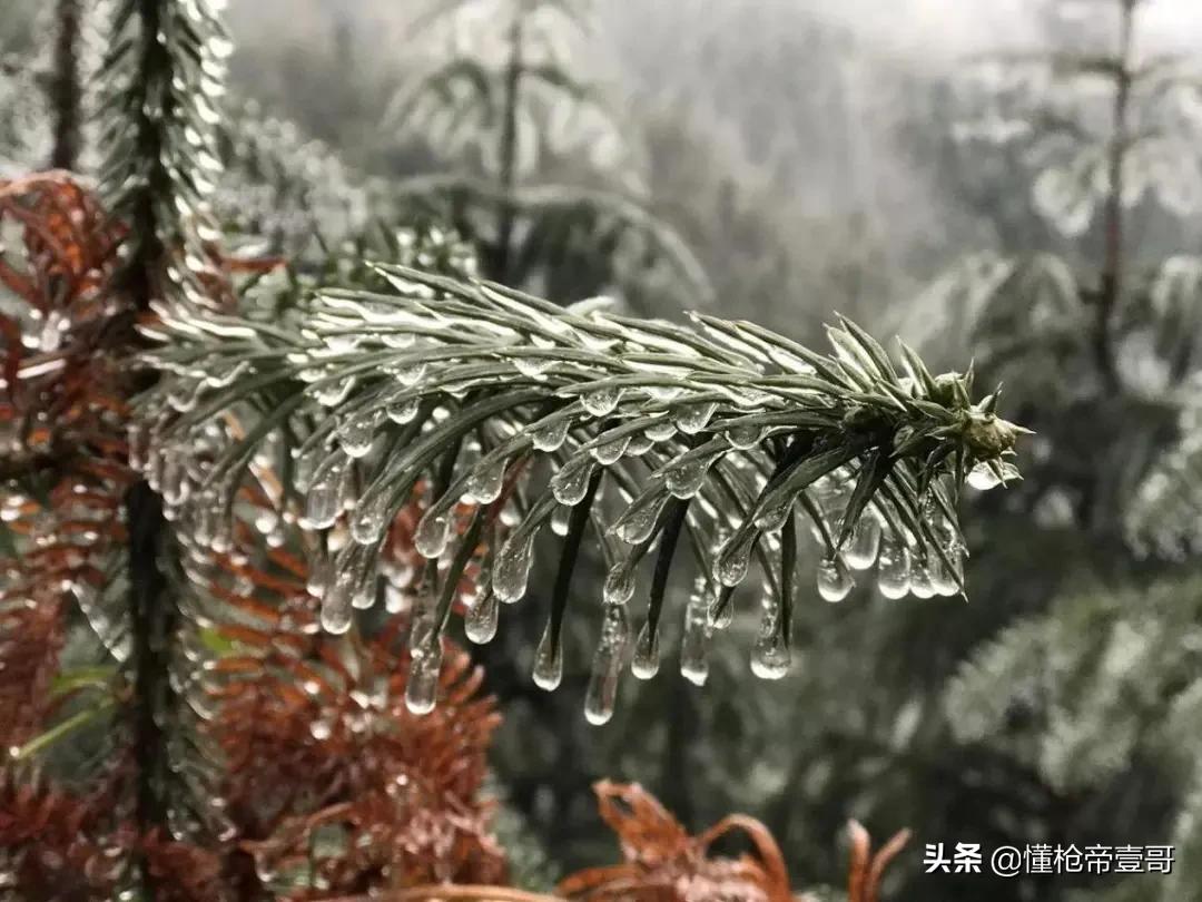 印度不仅士兵冻成冰雕，高原还用上了冰冻“水晶机枪”？