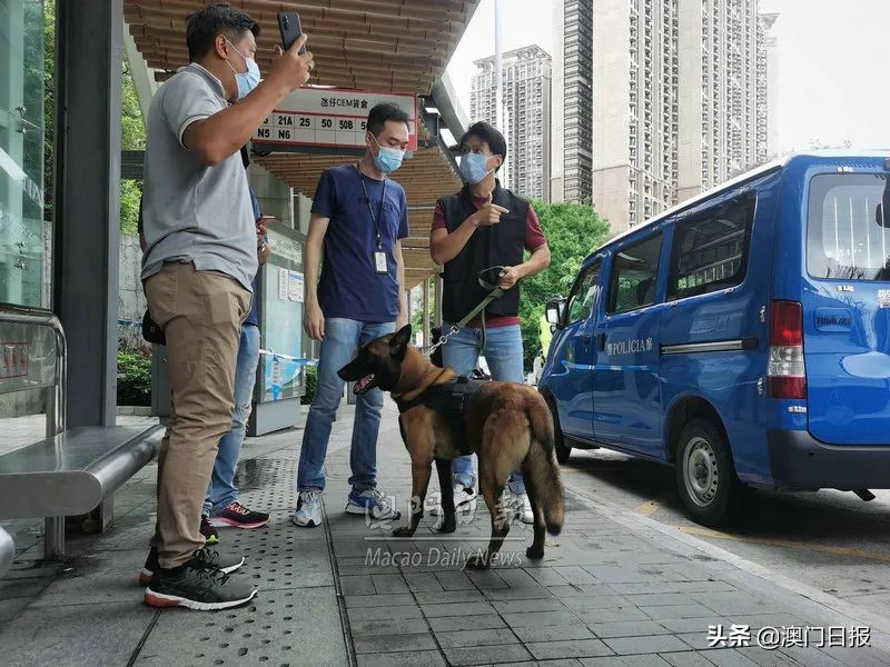 内地女子遭肢解拋尸大潭山，疑凶中山落网-第10张图片-大千世界