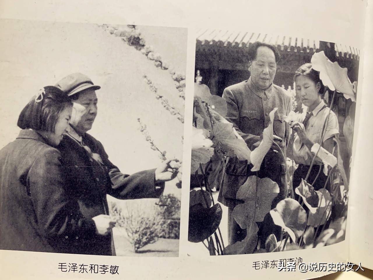 毛泽东的2个亲生女儿李敏和李讷-第3张图片-大千世界