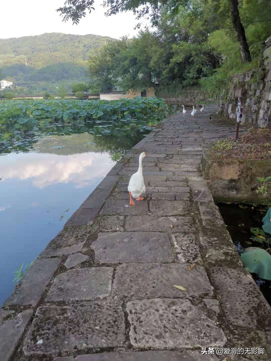 你知道门当户对的来历吗？游呈坎，破解成语的秘密